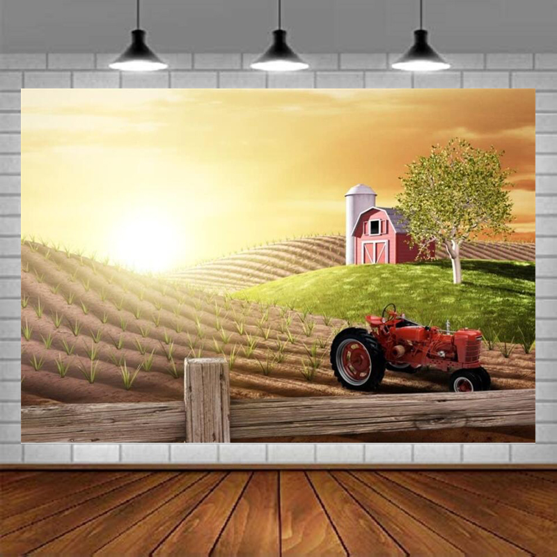 Agriculture Farming Background - ฉากหลังการถ่ายภาพฟาร์มยามเช้า พระอาทิตย์ขึ้น ทุ่งนา ภูเขา การเกษตร ที่เพาะปลูก